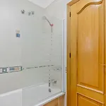 Homely Alcatri