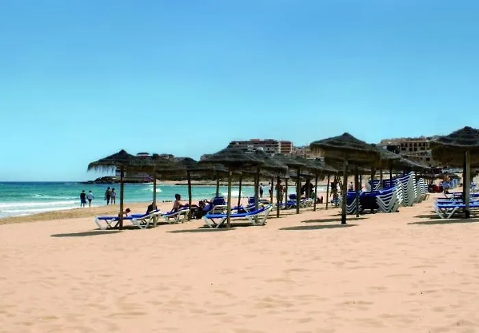 Homely Alcatri * Τορεβιέχα