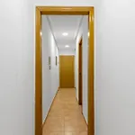 Homely Alcatri Apartment *