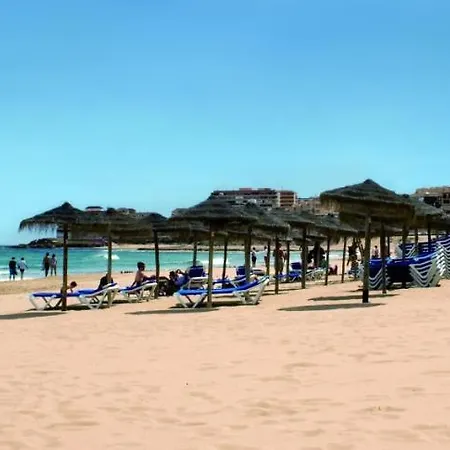 Homely Alcatri * Торрев'єха