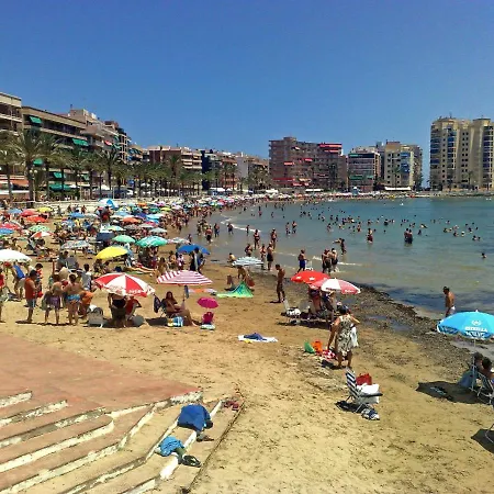 Apartment Homely Alcatri Torrevieja