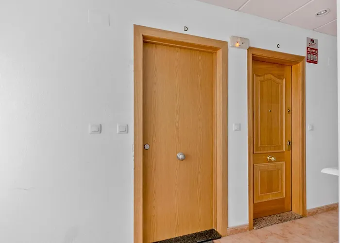 Apartment Homely Alcatri *